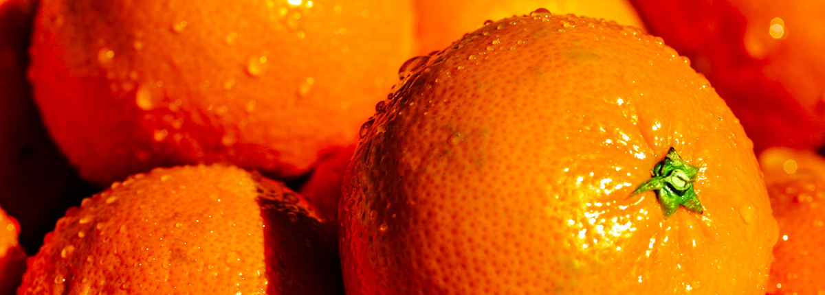 免费ddos平台攻击