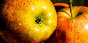 快速的注册渠道推荐的ddos攻击在哪能买到